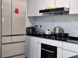 Blk 38C The River Vista @ Kallang (Kallang/Whampoa), HDB 4 Rooms #574072661